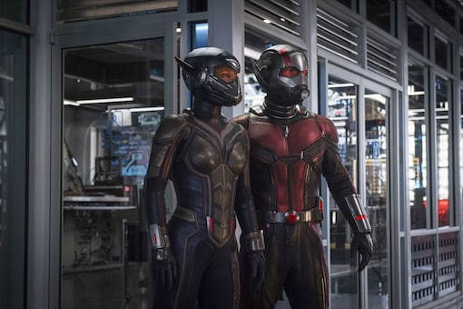 Image: A still from Ant Man and The Wasp.