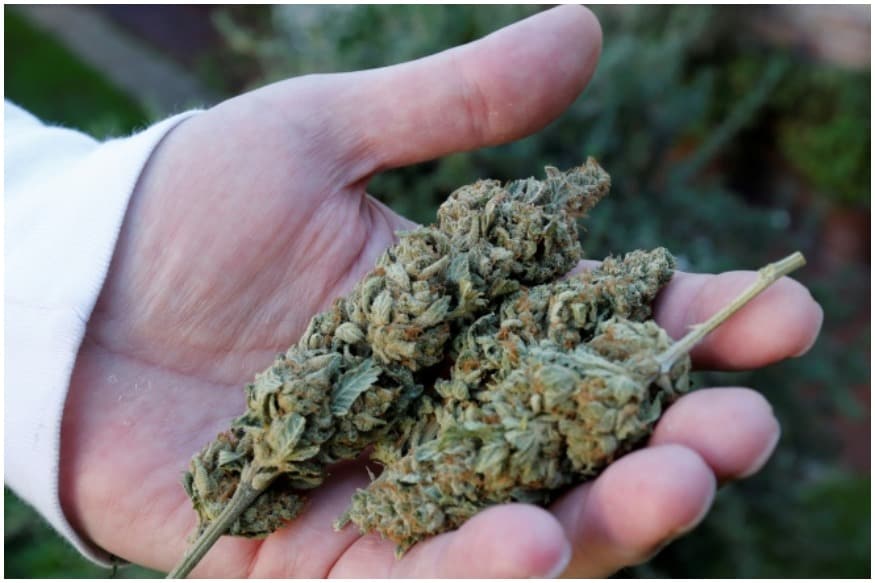Joint Effort: Cannabis Consumption on a 'High' in US Amid Coronavirus  Lockdown