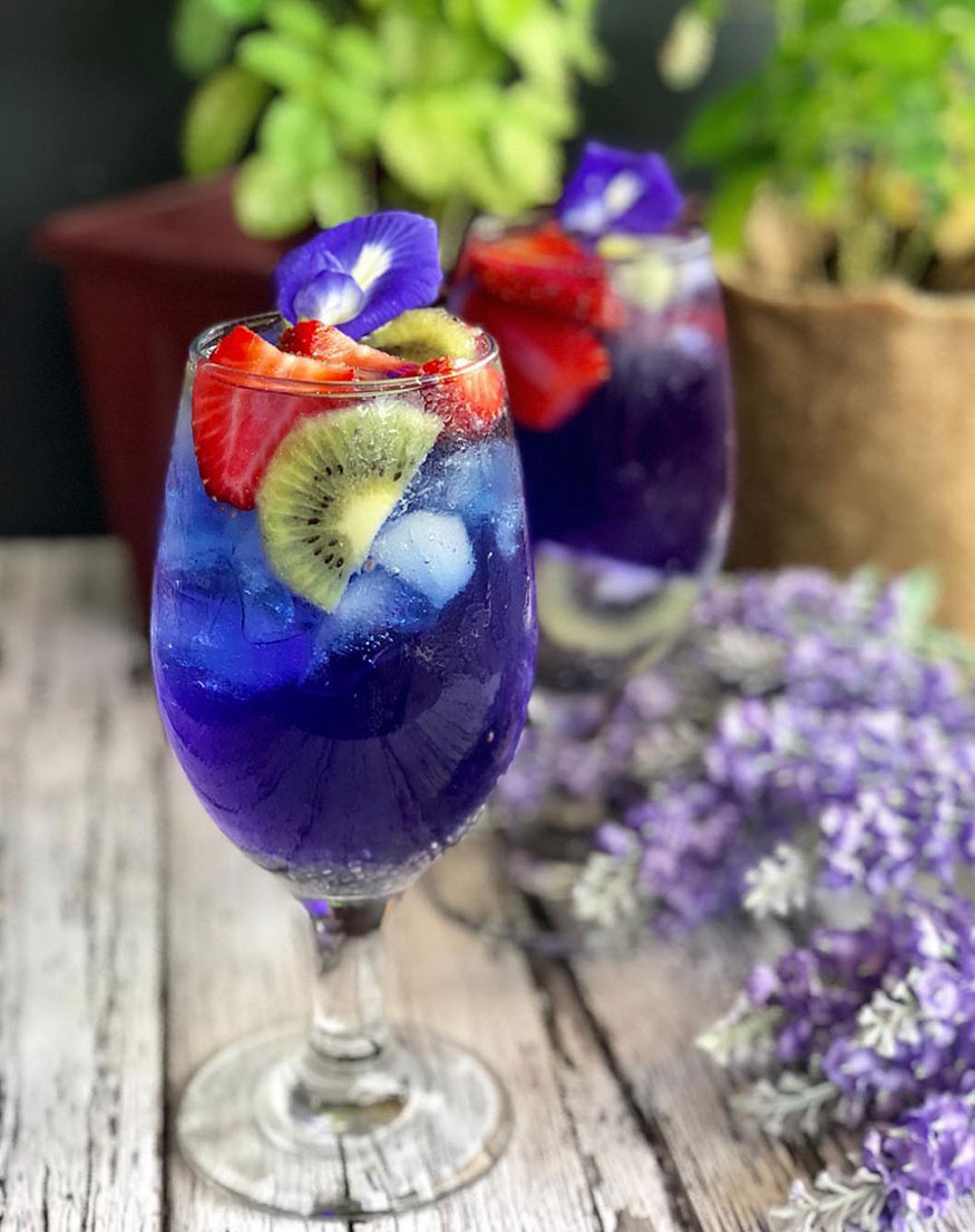 10 Things to One Should Know Before Trying Blue Tea Photogallery