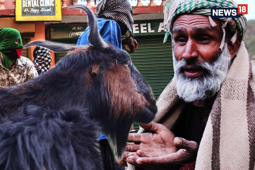 Walking With The Bakarwals: A 160 km Journey Through The Mountains Of Himalaya Walking With The Bakarwals: A 160 km Journey Through The Mountains Of Himalaya