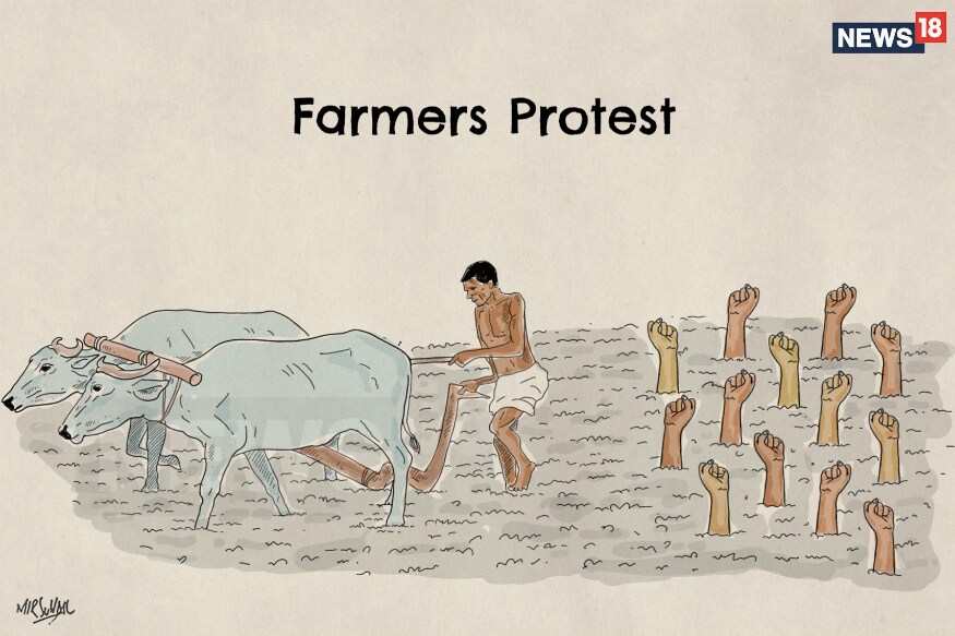 Farmers in 8 States on 10-Day Strike; Milk and Veggie Supply May be Hit