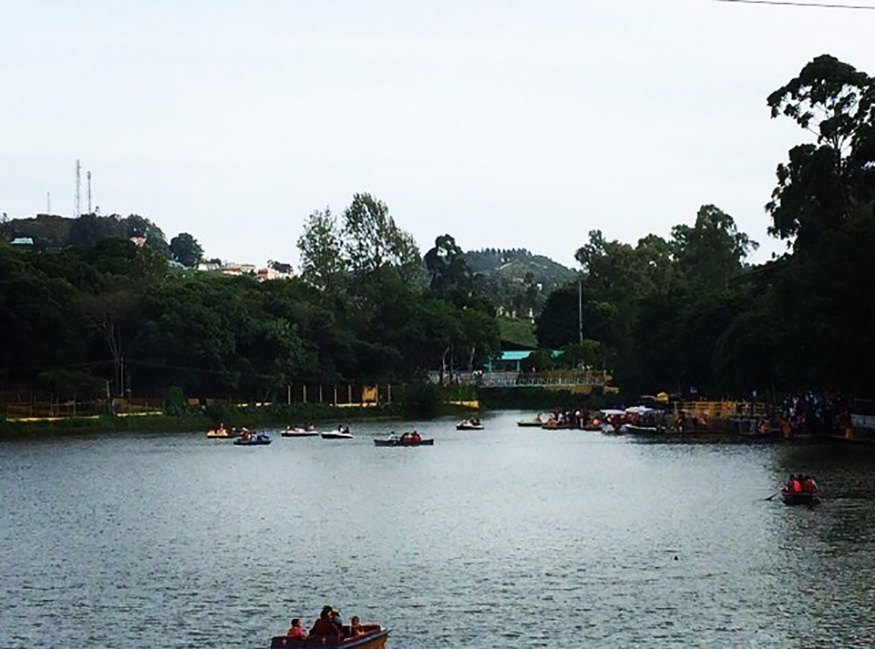 5 Hill Stations near Bengaluru for a Cool Weekend Getaway News18