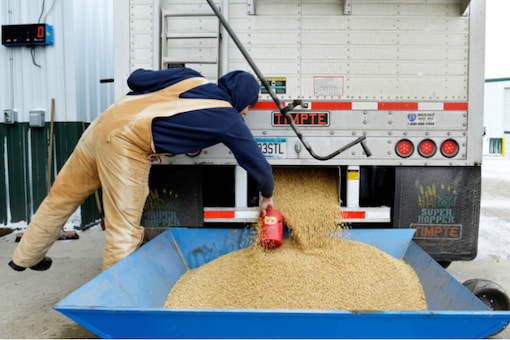 A worker takes a sample from an incoming truckload of soybeans at Peterson Farms Seed facility in Fargo, North Dakota, US December 6, 2017. REUTERS