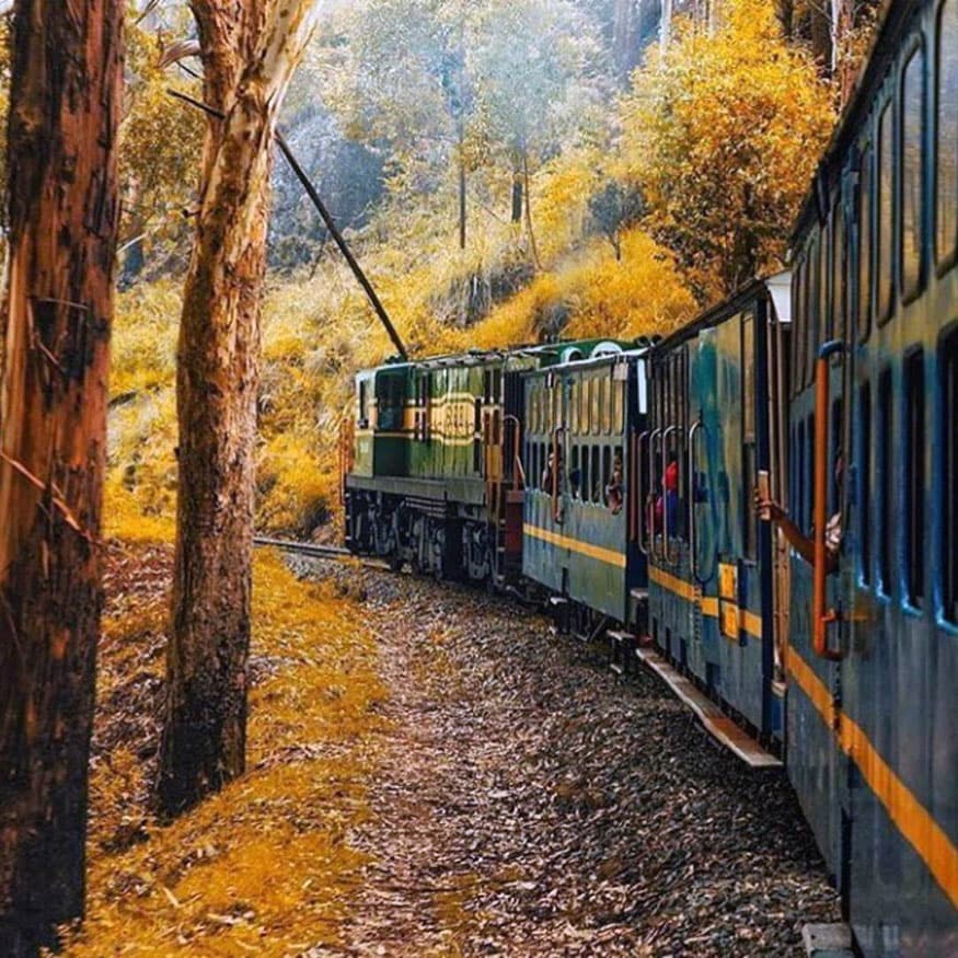 Udhagamandalam-Coonnor, Nilgiri Mountain Railway - This railway line in Tamil Nadu was set up in the British era and covers a distance of 26kms. The train journey goes through 16 tunnels and a number of twists and turns. It runs on the Rack and Pinion’ system and the travellers witness some of the most pictorial sights of Ooty and nearby hills. (Image: Instagram)