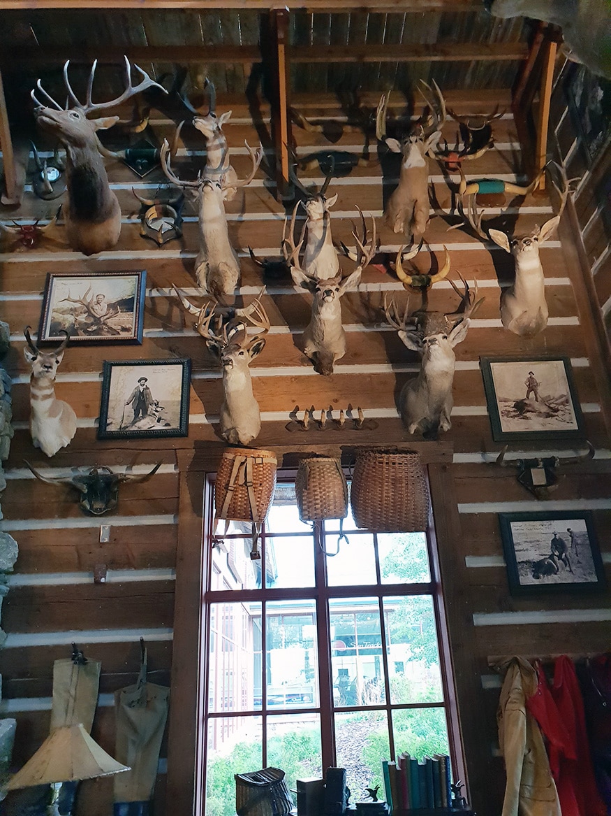 Bass Pro Shops, Chain known for its large, wilderness-themed stores & wide array of hunting, fishing and outdoor gear. (Image: News18/Varun Sharma)