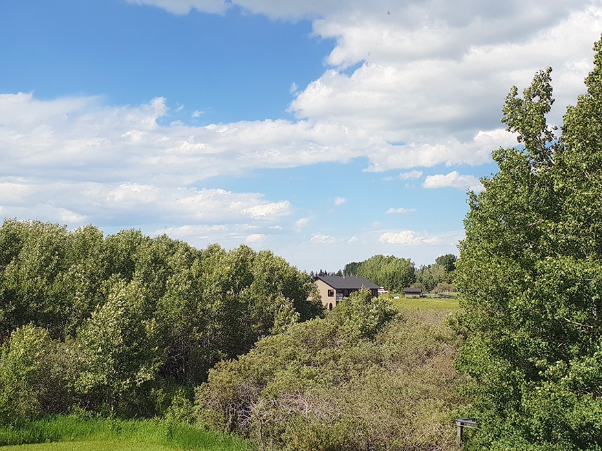 Bearspaw is a rural community in southern Alberta, Canada within Rocky View County consisting mostly of country residential acreages. Bearspaw is located northwest of the City of Calgary. (Image: News18/Varun Sharma)