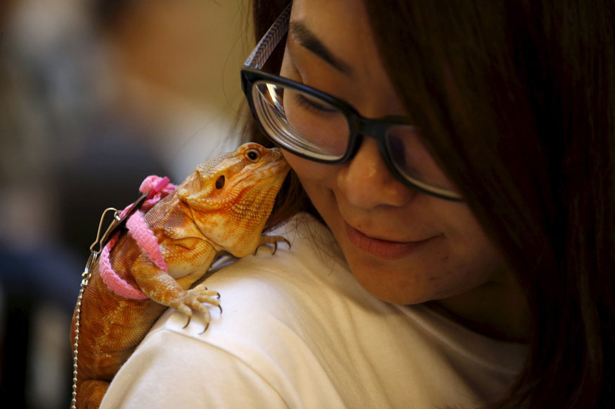 Incredible Friendship Between Humans & Animals - In Pics Incredible Friendship Between Humans & Animals - In Pics