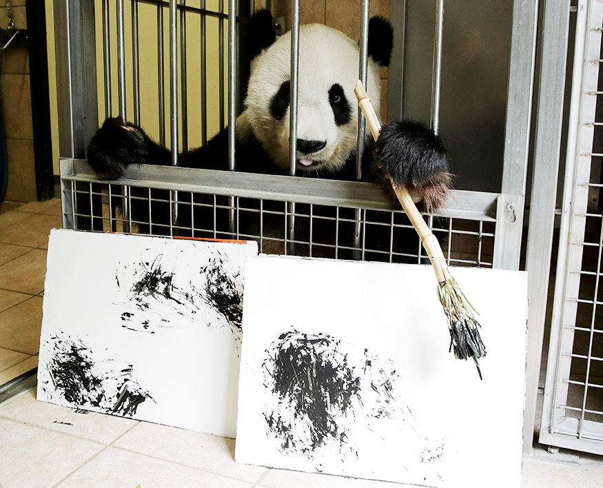 Painting Panda Lure Visitors In Vienna Zoo Photogallery
