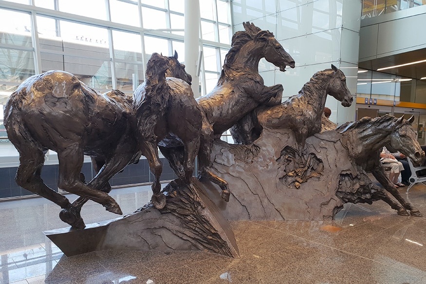 Walking through the Calgary International Airport, you’ll pass a bronze statue of wild horses running. (Image: News18/Varun Sharma)