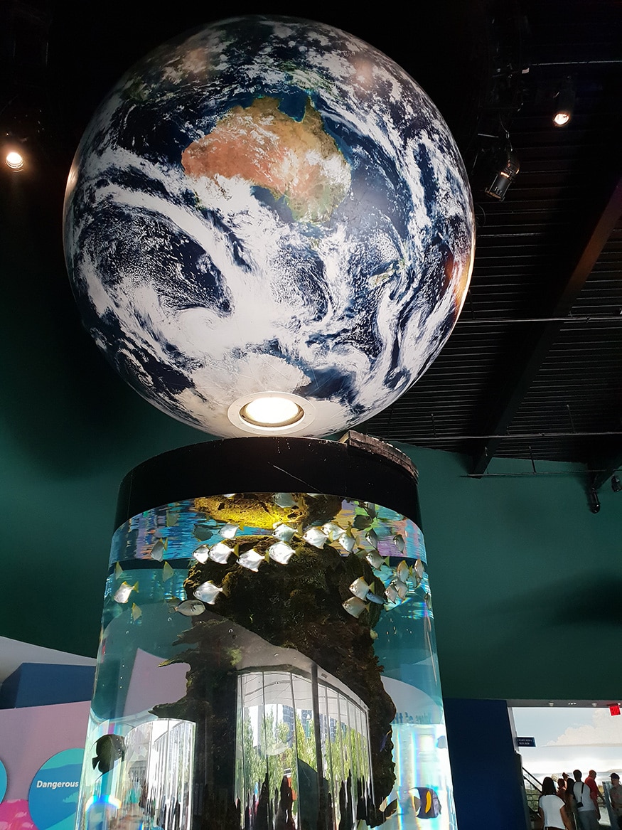 Ripley's Aquarium of Canada is a public aquarium in Toronto, Ontario, Canada. (Image: News18/Varun Sharma)