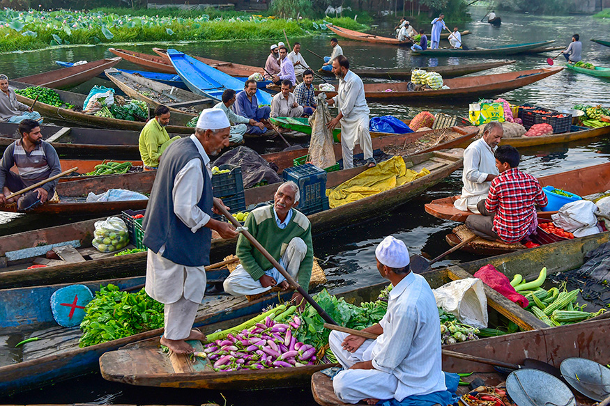 8 Unique Ways To Explore The Ambiance Around Dal Lake