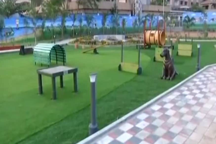 India's First Dog Park Built in Hyderabad; See Pictures News18