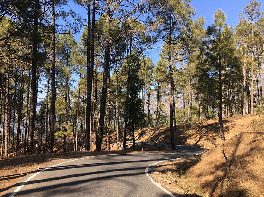 Winter trek to Kedarkantha in Uttarkashi, is a pure bliss. If you have a thing for trekking and beautiful location, you must go on a trek to Kedarkantha Summit.<br /><br />Here's a photologue of Kedarkantha Summit by Sneha Mitra - Enroute to Sankari, a small village at the height of 6450 ft. in Uttarkashi. The road travels through Govind National Park which has an avid collection of flora. (Image: Sneha Mitra)