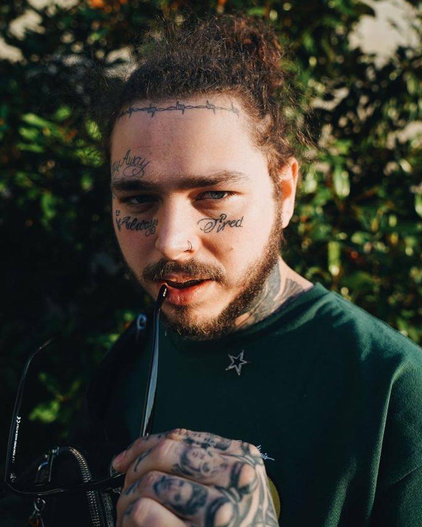 post malone sunflower genius