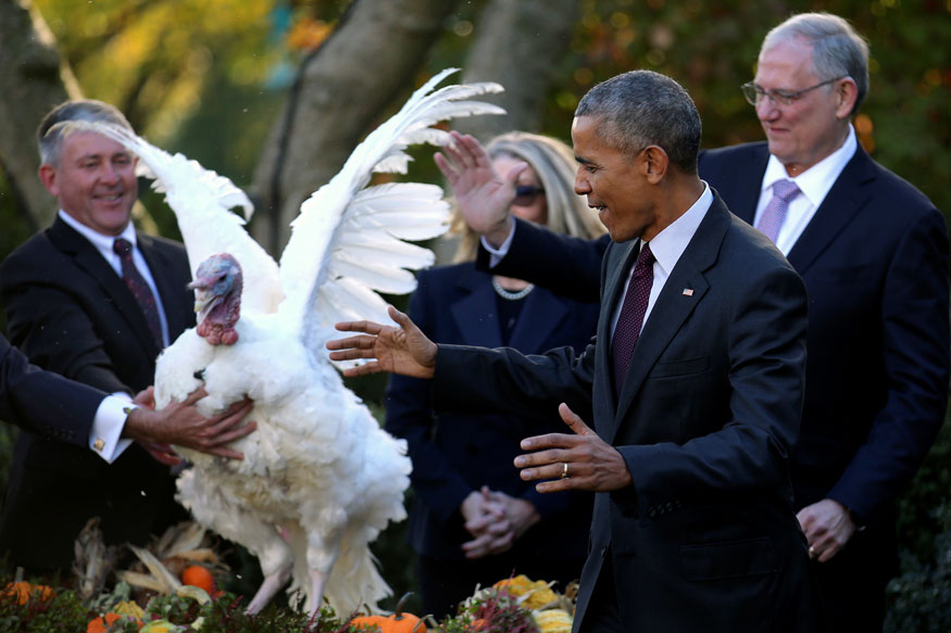 Happy Thanksgiving A Look at Presidential Turkey Pardons Photogallery