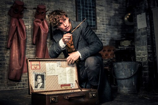 Eddie Redmayne in a scene from Fantastic Beasts: The Crimes of Grindelwald. (Image: Warner Bros. Pictures)