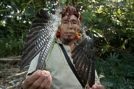 Hunters in Nagaland Pitch in to Save Amur Falcons by Turning Conservators