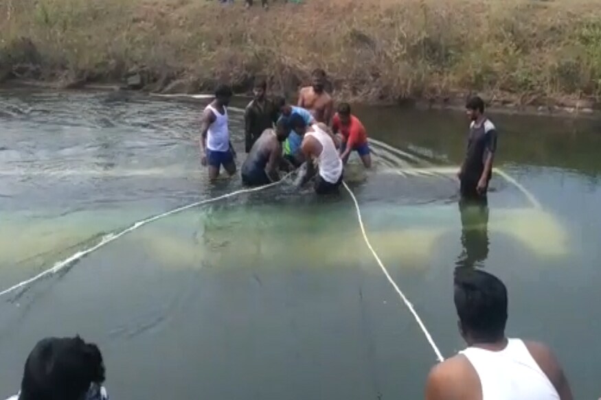 At Least 24 Killed as Bus Falls Into Canal in Karnataka's Mandya, Driver and Conductor Flee by Swimming Away