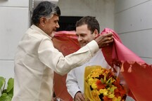 Rahul Gandhi Must Win MP, Telangana Battles Before Riding to 2019 War With 'Saarthi' Naidu