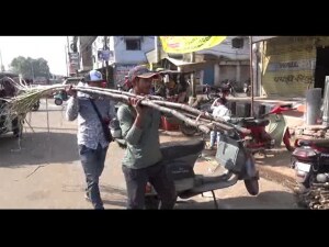 sugarcan sellers