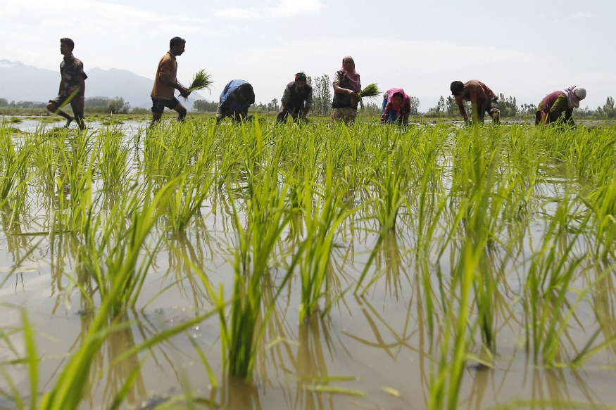 Union Budget 2020: Govt Sets Agri Credit Target at Rs 15 Lakh Crore for FY21