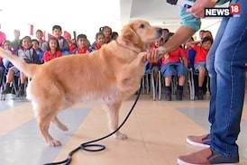 Making Kids Love Dogs, One School At A Time