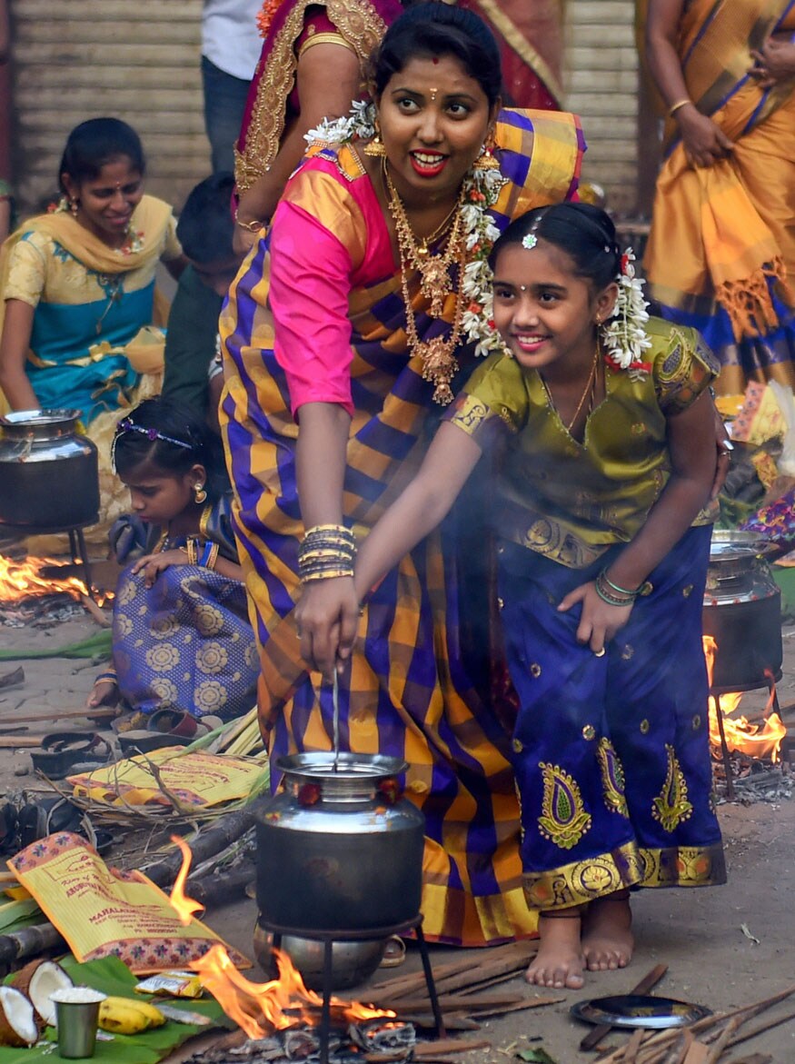 pongal festival