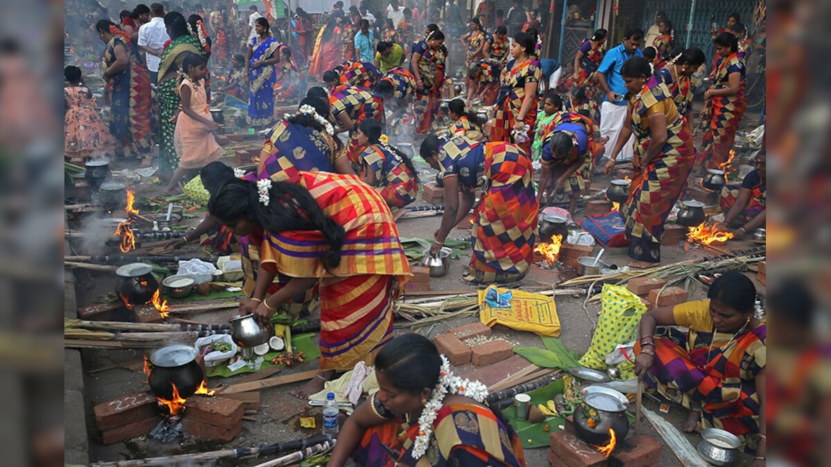 Kaanum Pongal 2023 Date and Significance: Know All About History and  Celebrations of the Fourth and Last Day of the Harvest Festival in Tamil  Nadu