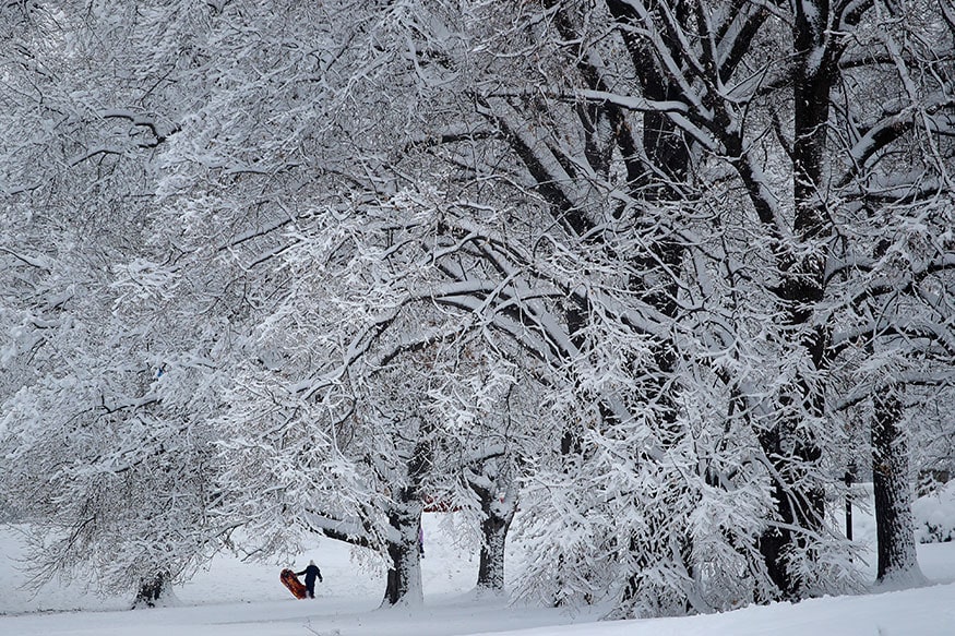 Winter Storm Brings Heavy Snow, Ice and Freezing Rain in US - News18