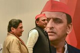 Breakup With Maya Proves to be Elixir for Akhilesh as SP Bags 3 Seats, BSP Fails to Open Account