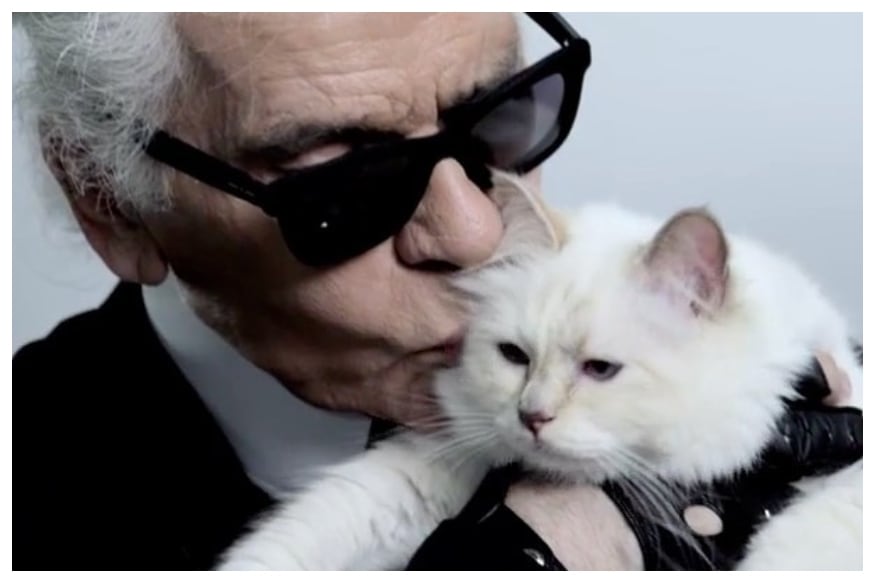 Karl Lagerfeld's Cat Choupette Set to Inherit a Chunk of the Fashion ...