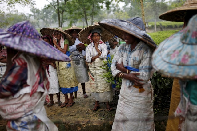 File photo of Assam tea plantation workers. (Reuters Image)