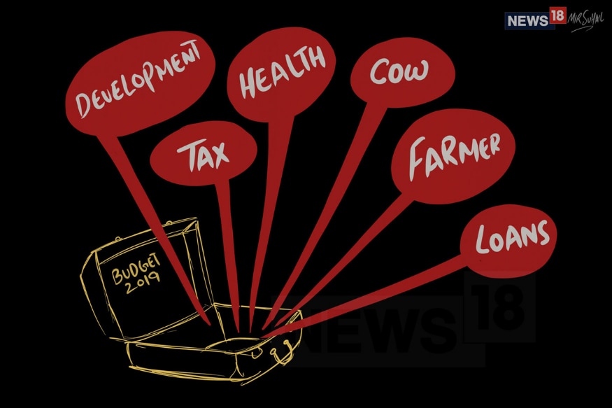Tax, Farmer, Loans: A Word Window Into Piyush Goyal's Maiden Budget Speech