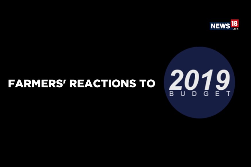 Farmers' Reaction To Budget 2019: Disappointment And False Promises