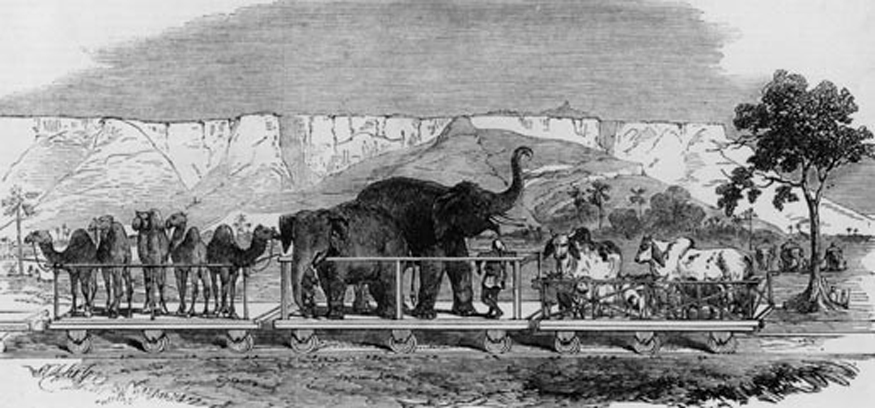 April 16, 2019, marks the 166th anniversary of India's first passenger train journey in which 400 invited passengers travelled in 14 carriages on a 57-minute journey from Bori Bunder in Bombay (now Mumbai) to Thane. Since that first journey in 1853, railways have become one of the most important modes of transportation in the country. Here's a look back at the early days of Indian railways in a series of vintage photographs. <br /> <br />A train carrying livestock passes Rohtas Fort, India. The area is now part of Pakistan. (Image: Getty Images)