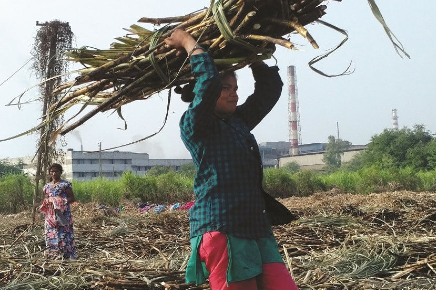 In Gujarat’s Dangs District, Tribals Are Left With No Option but to Migrate For Survival