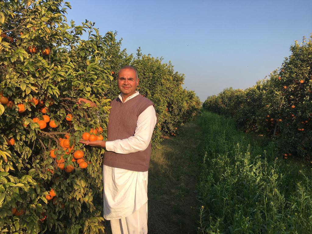 organic 2 Sirsa