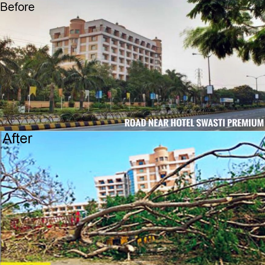 Cyclone Before And After