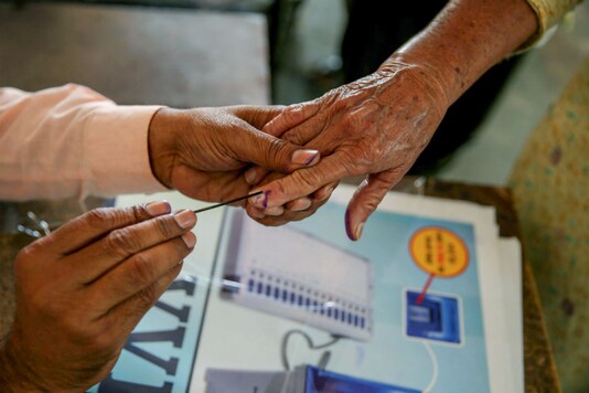 Representative image of polling. (PTI)