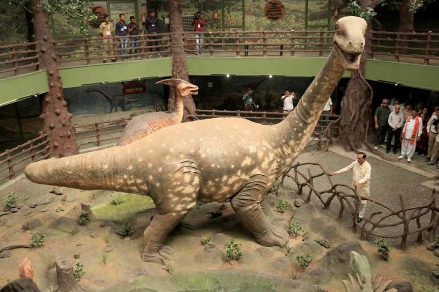 dinosaur in national history museum