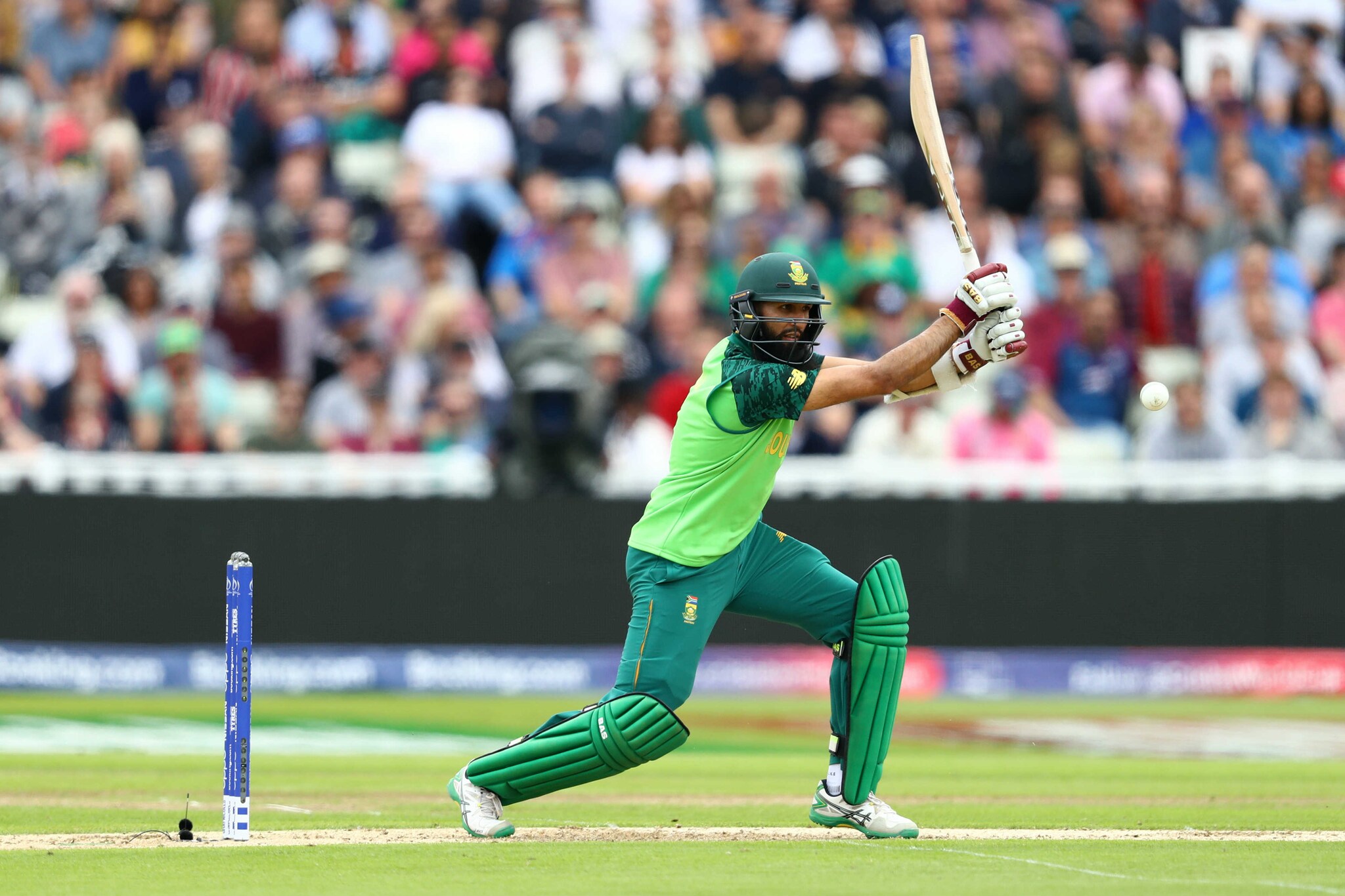 In Pics, Williamson Helps New Zealand Beat South Africa In Pics, Williamson Helps New Zealand Beat South Africa