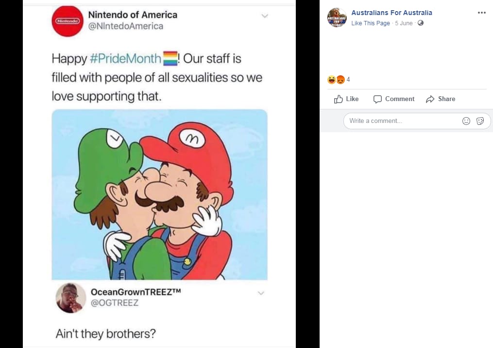 nintendo why are you gay meme