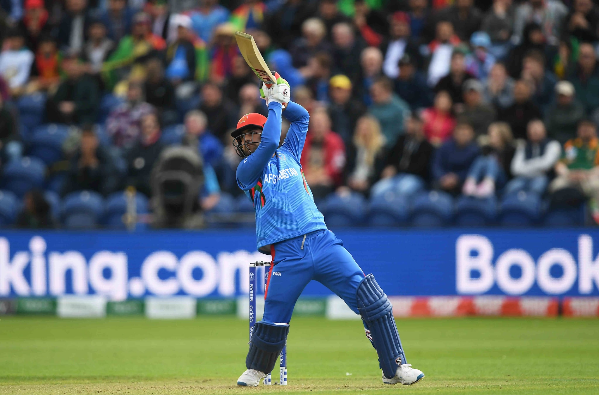 In Pics, South Africa Thump Afghanistan In Pics, South Africa Thump Afghanistan