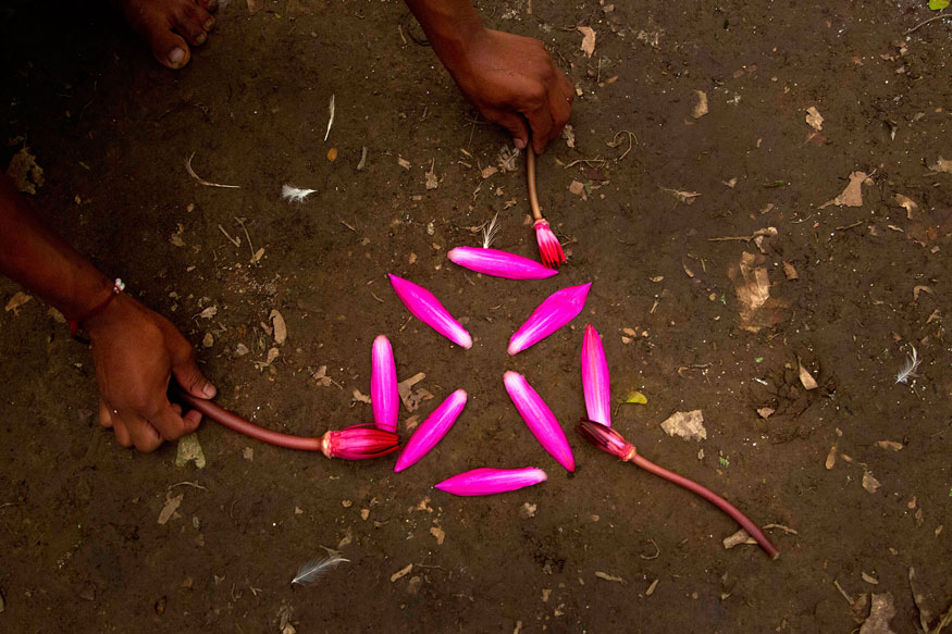 Baikho Festival Assamese Tribe Prays for Good Rains & Harvest News18