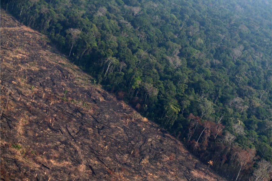 Massive Fire Turns Acres Of Amazon Forest To Ashes Aerial Photos