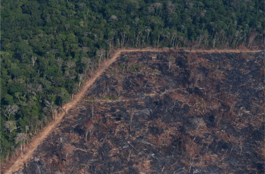 Massive Fire Turns Acres Of Amazon Forest To Ashes Aerial Photos