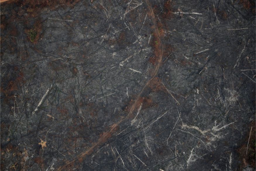 Massive Fire Turns Acres Of Amazon Forest To Ashes Aerial Photos