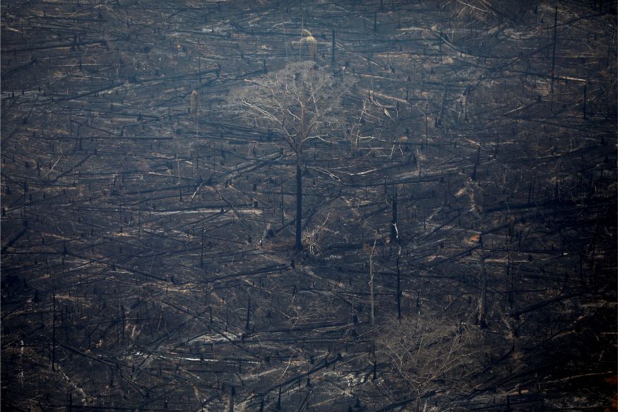 Massive Fire Turns Acres Of Amazon Forest To Ashes Aerial Photos