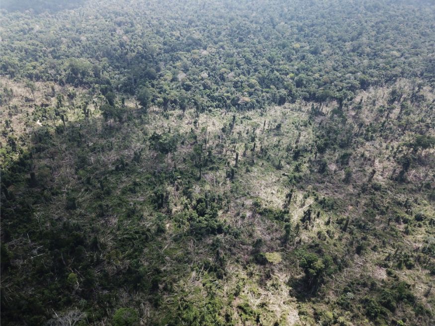 Massive Fire Turns Acres Of Amazon Forest To Ashes Aerial Photos