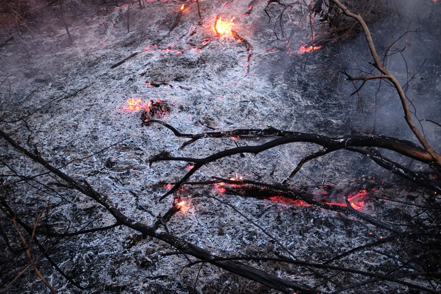 Amazon Wildfire Photos Brazilian Rainforest Fire Continues to Blaze